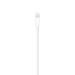 Picture of Lightning to USB Cable (2 m)