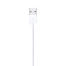 Picture of Lightning to USB Cable (2 m)