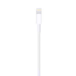 Picture of LIGHTNING TO USB CABLE 1 MTR