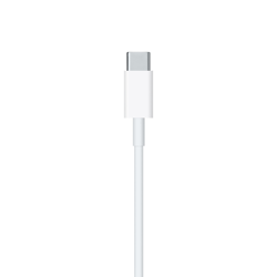 Picture of USB-C TO LIGHTNING CABLE 1 METER