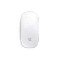 Picture of Magic Mouse 2