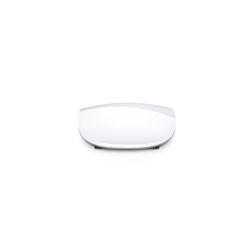 Picture of Magic Mouse 2