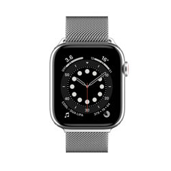 Picture of SwitchEasy Apple Watch Series 7 Stainless Steel Mesh Strap 42mm/44mm/45mm