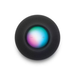 Picture of Apple HomePod mini - Space Gray