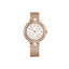 Picture of Smart CrossFit Diva Premium Smart Watch