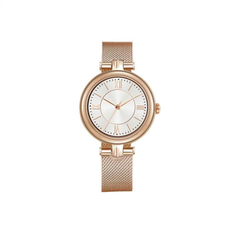 Picture of Smart CrossFit Diva Premium Smart Watch