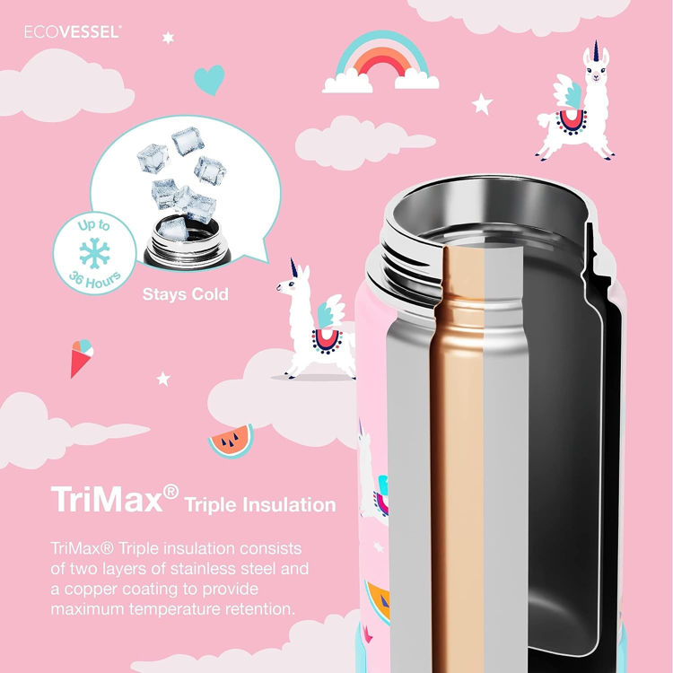 Picture of FROST 12oz Kids Trimax Straw Top Stainless Steel BPA Free Dinosaur_FRST12DI