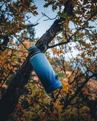 Picture of Ecovessel The Boulder - 20oz Bottle with Screw Top & Strainer 591ml Lavender Fields