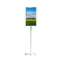 Picture of POWEROLOGY 32" 5G ANDROID SMART SCREEN 8GB|128GB, WHITE